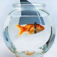 Profile Picture of Mohamed Abdelhakim (@mohamed-abdelhakim-7) on Quora