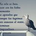 Profile Picture of Beatriz Venegas Jimenez (@beatriz.venegasjimenez.58) on Facebook
