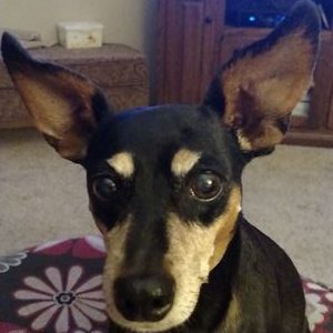 Profile Picture of Brad Friesen (@BradFriesen2) on Twitter