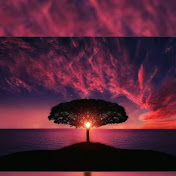 Profile Picture of Alia Cheikho (@aliacheikho3908) on Youtube