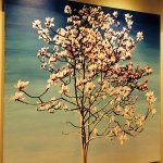 Profile Picture of Margaret Key (@plantfulseoulful) on Instagram