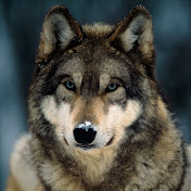 Profile Picture of Genesis L. Ruiz P. (@genesisl.ruizp.4177) on Youtube