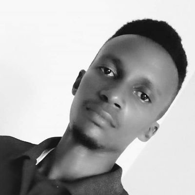 Profile Picture of Dan Pol (@kowero37) on Twitter