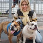 Profile Picture of Stacey Wolf James (@staceywolfjames) on Instagram