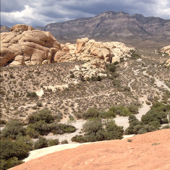 Profile Picture of Amanda Allison (@afallison) on Poshmark