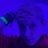 Profile Picture of Matthew_Schuh (@jdjrhehehrh) on Tiktok