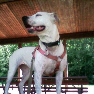 Profile Picture of Peter Kurek (@sunnykurek) on Twitter