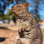 Profile Picture of Neil Salter (@salter_neil) on Instagram