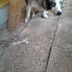 Profile Picture of Christian Halter (@Christian-Halter) on Facebook