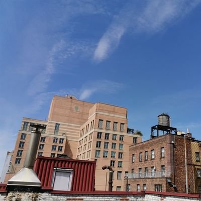 Profile Picture of YAN ZHENG (@YANZHENG2) on Twitter