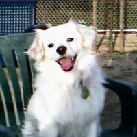 Profile Picture of Cindy Sanchez (@cindy-sanchez-200) on Quora