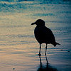 Profile Picture of .kathryn. (@.kathryn.) on Flickr