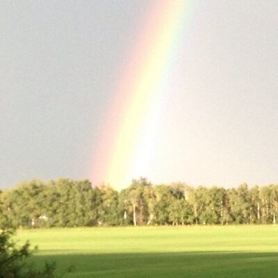 Profile Picture of Audra Hoover (@meinthehills) on Twitter