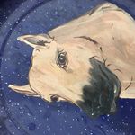 Profile Picture of Wyatt Fitzgerald (@the_string_cheese_incident) on Instagram