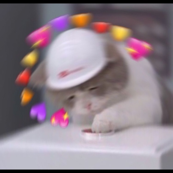 Profile Picture of Marisol Monroy (@marisolmonro315) on Poshmark