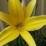 Profile Picture of Selam Alemu (@selam.alemu) on Instagram