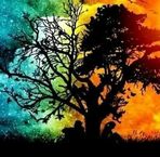 Profile Picture of Baokim Nguyen (@Baokim-Nguyen) on Facebook