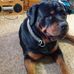 Profile Picture of Cooper Thatcher (@cooper.thatcher.338) on Facebook