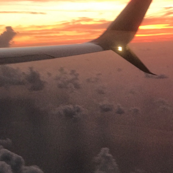 Zeljko Stamatovic - Poshmark Profile Picture of Zeljko Stamatovic (@zeljkos) on Poshmark