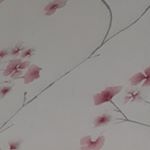 Profile Picture of shayla_jacobs26 (@shayla_jacobs265) on Instagram