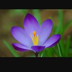 Profile Picture of Luz Bruno (@luz.bruno.7543) on Instagram