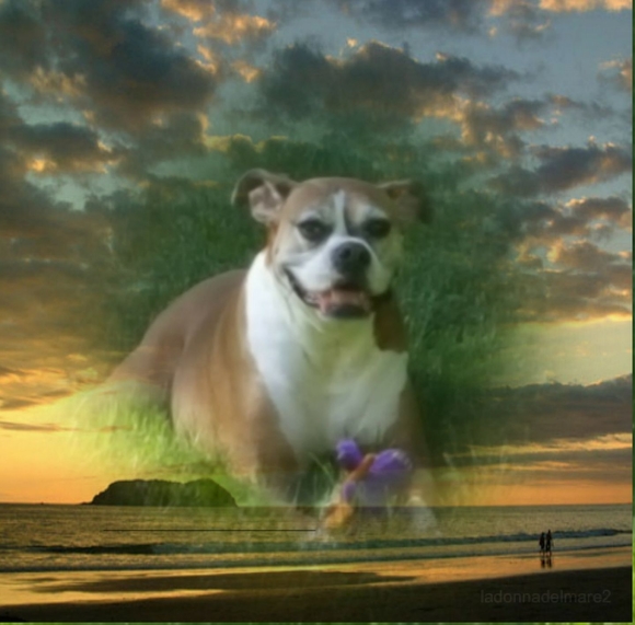 Profile Picture of Christine Crater (@chrissyj1968) on Poshmark