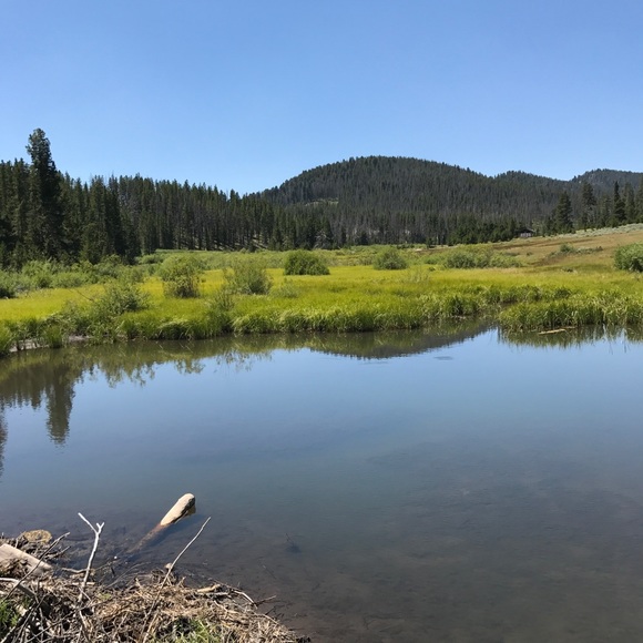 Profile Picture of Carlie Dinius (@cdinius) on Poshmark