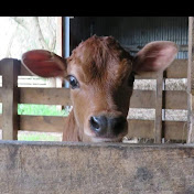 Profile Picture of Alison Mark (@AlisonMark-m2x) on Youtube