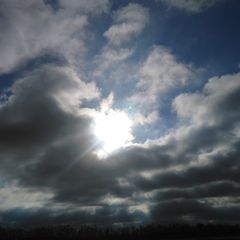 Profile Picture of John Graf (@john.graf7) on Tiktok