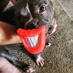 Heather Kendrick Jaeckels - Instagram Profile Picture of Heather Kendrick Jaeckels (@heatherjaeckels) on Instagram