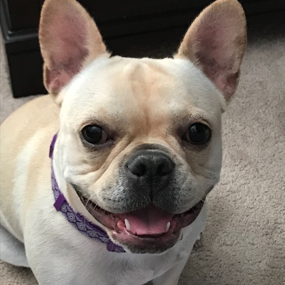 Profile Picture of Chris Bobert (@cbobert) on Poshmark