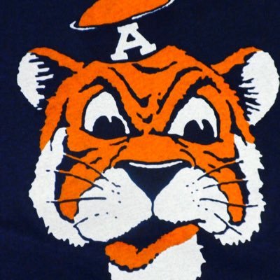 Profile Picture of Mary Knight, ALNBCT (@autigers90) on Twitter