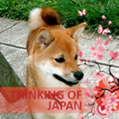 Profile Picture of Sophieshiba (@Dawnbird59) on Twitter