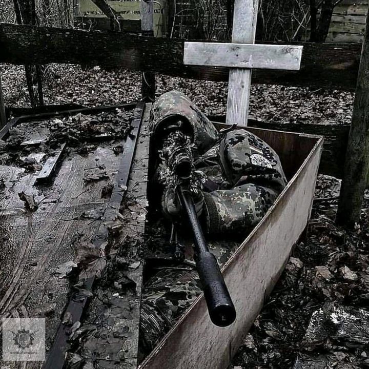 Profile Picture of Dinwiddie6677 (@brandondinwiddie6) on Tiktok