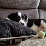 Profile Picture of tony mellinger (@tony.mellinger) on Instagram