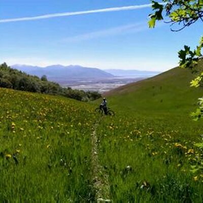 Profile Picture of Daniel Masson (@kramnossam) on Twitter