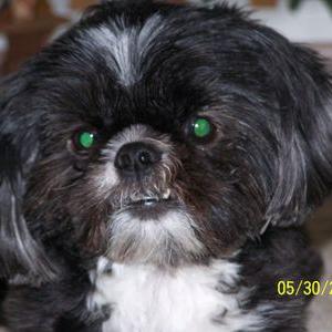 Profile Picture of Corey Katz (@TURBO9903) on Twitter