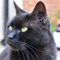 Profile Picture of Liz Franklin (@liz-franklin-12) on Quora