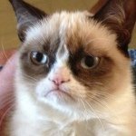 Profile Picture of Stephen Mansell (@table_tennis_ledgend) on Instagram