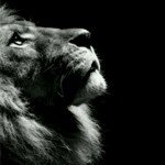 Profile Picture of Colin Alleyne (@1bingee) on Instagram