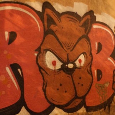 Profile Picture of Robert Fiala (@RobertFiala2) on Twitter