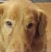 Profile Picture of Paul Diemert (@paul.diemert.71) on Facebook