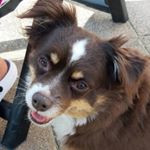 Profile Picture of Lukas Longerich (@lukas_longerich) on Instagram