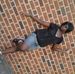 Profile Picture of Khadija James (@khadija.james.921) on Facebook