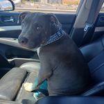 Profile Picture of Nicholas Baron (@sportmode35) on Instagram