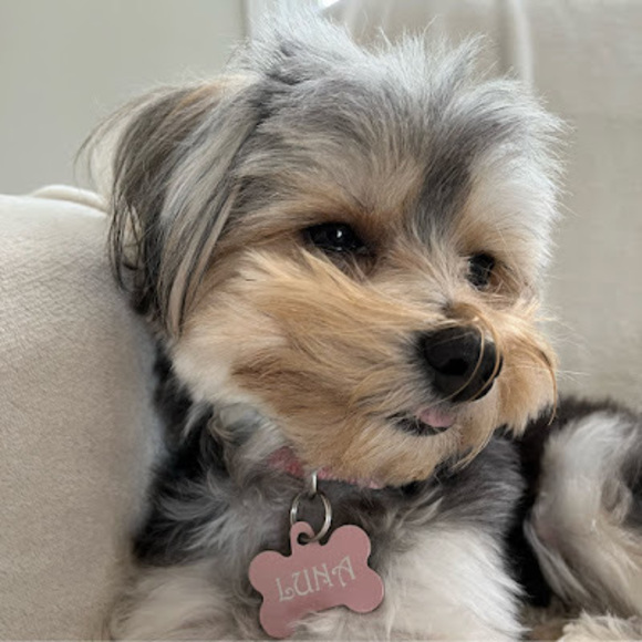 Profile Picture of Debora Rodrigues (@debbyroka) on Poshmark