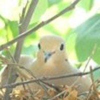 Profile Picture of Marc Soto  (@marc-soto-28) on Quora