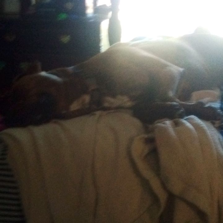 Profile Picture of nicolekelsey (@nicolekelsey01) on Tiktok