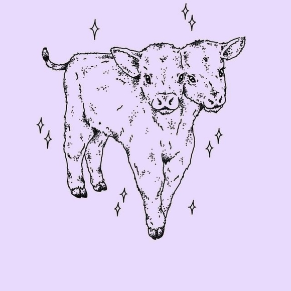 Profile Picture of Kaylin Phillips (@kaylin1121) on Poshmark