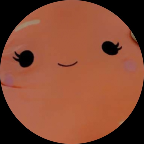 Profile Picture of Abigail Lupinacci (@abbylupinacci) on Poshmark